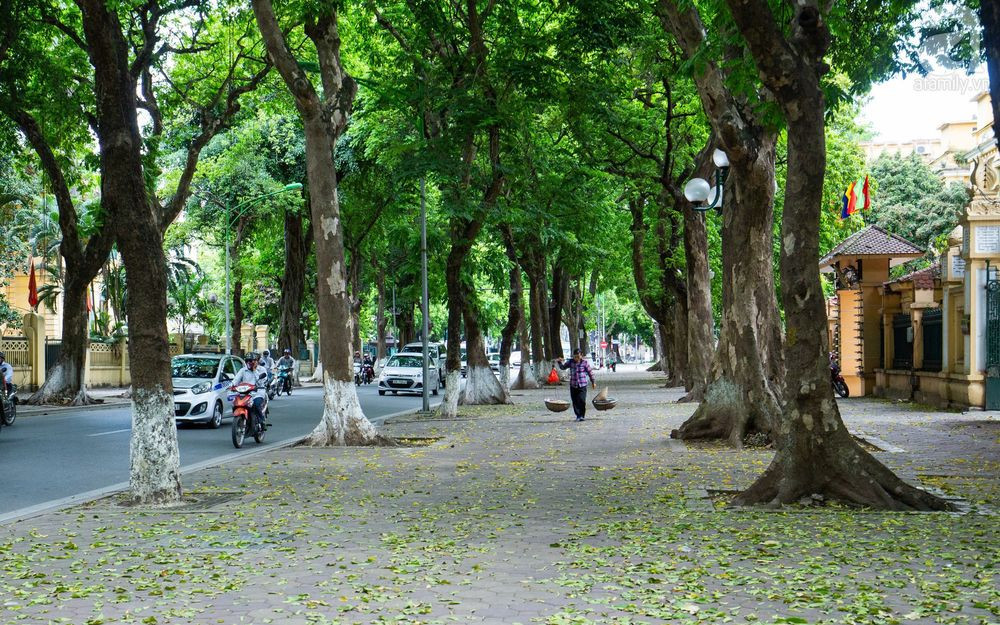 Đặc trưng thời tiết Hà Nội qua các mùa