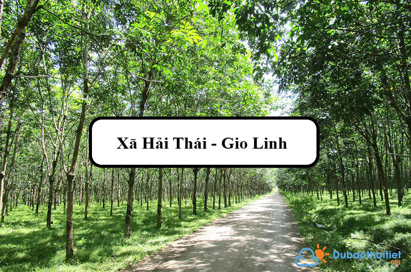 Đặc trưng khí hậu xã Hải Thái - Gio Linh
